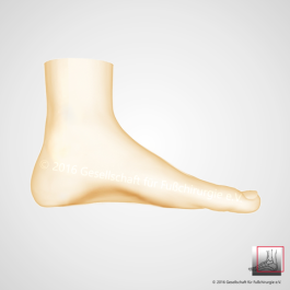 gesunder Fuß