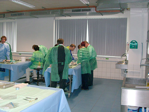 3. Harlachinger Expertenkurs