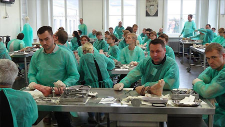 (Konzentriertes Arbeiten im Präpariersaal)