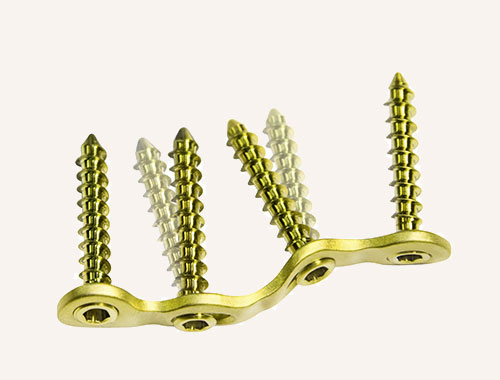 Plantare Lapidus Platte