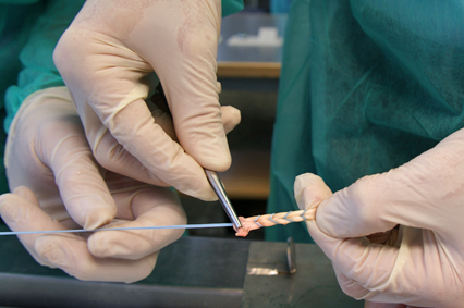 Impressionen aus Berlin